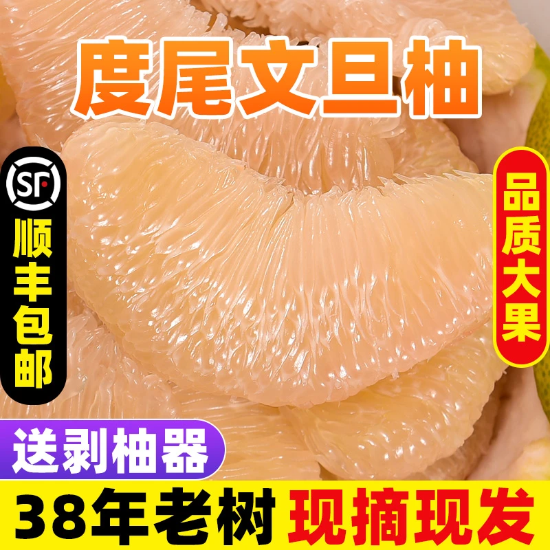 正宗福建莆田仙游度尾文旦柚子当季时令应季水果大柚子无籽多汁