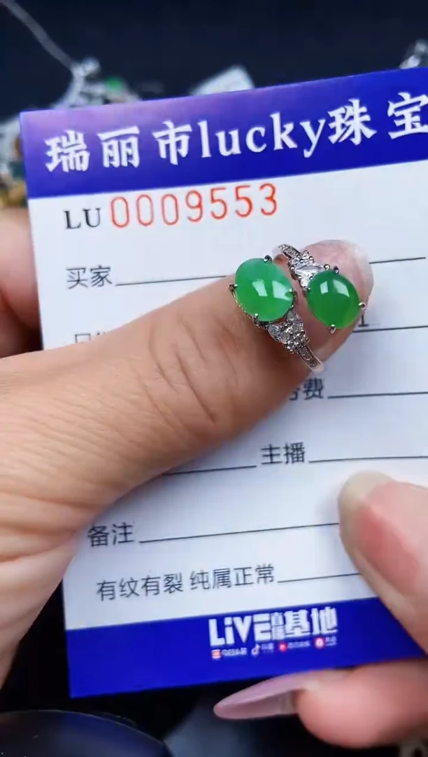 翡翠银S925镶嵌颈饰9553