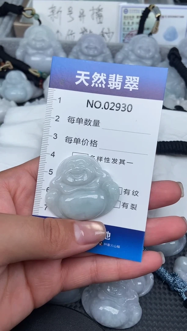 颈饰未镶嵌翡翠纯天然A货翡翠2930