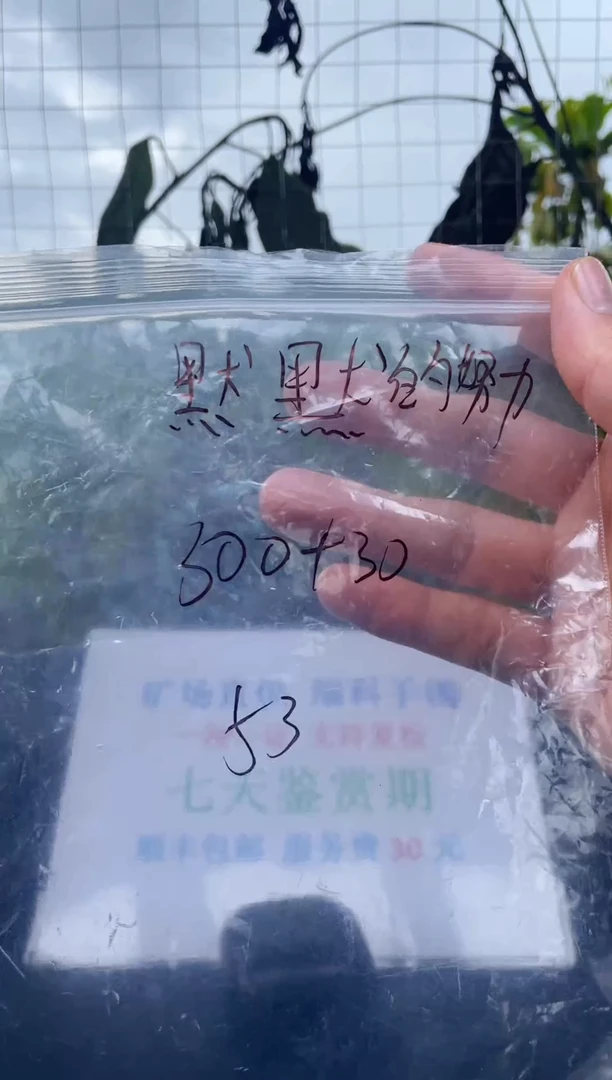 非金属无默***力手镯下单链接一单一付