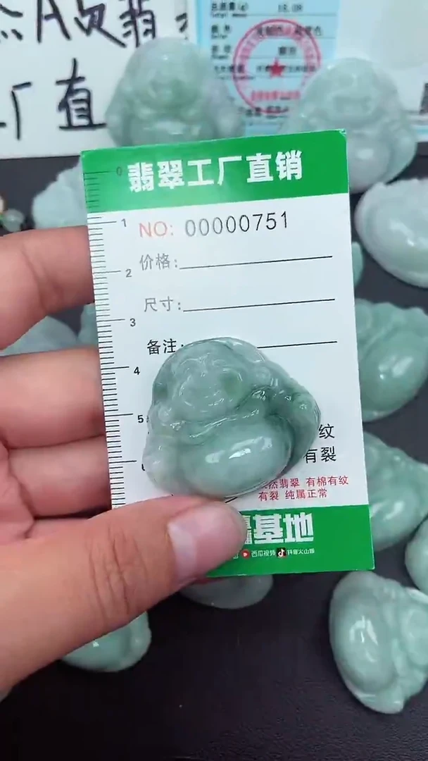 颈饰未镶嵌翡翠缅甸天然翡翠0751