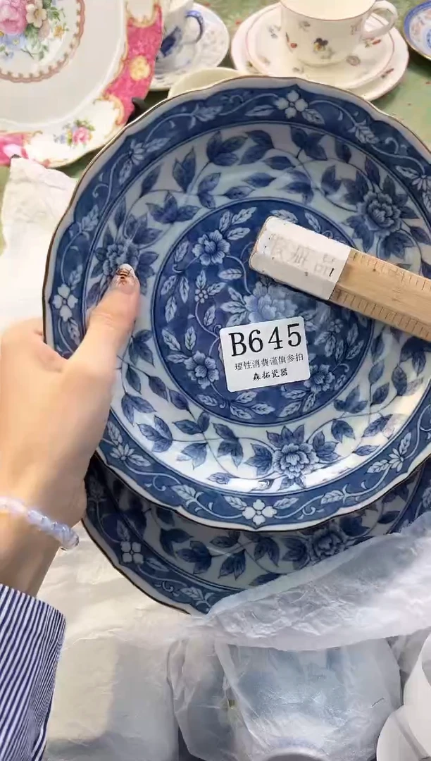 【闪购商品】瓷片          B645