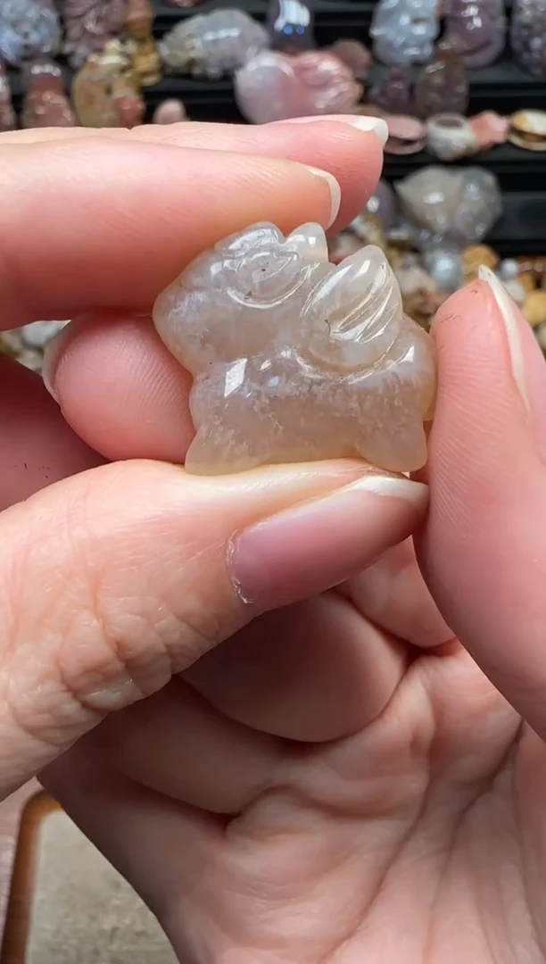 颈饰未镶嵌硅化珊瑚（珊瑚玉）774