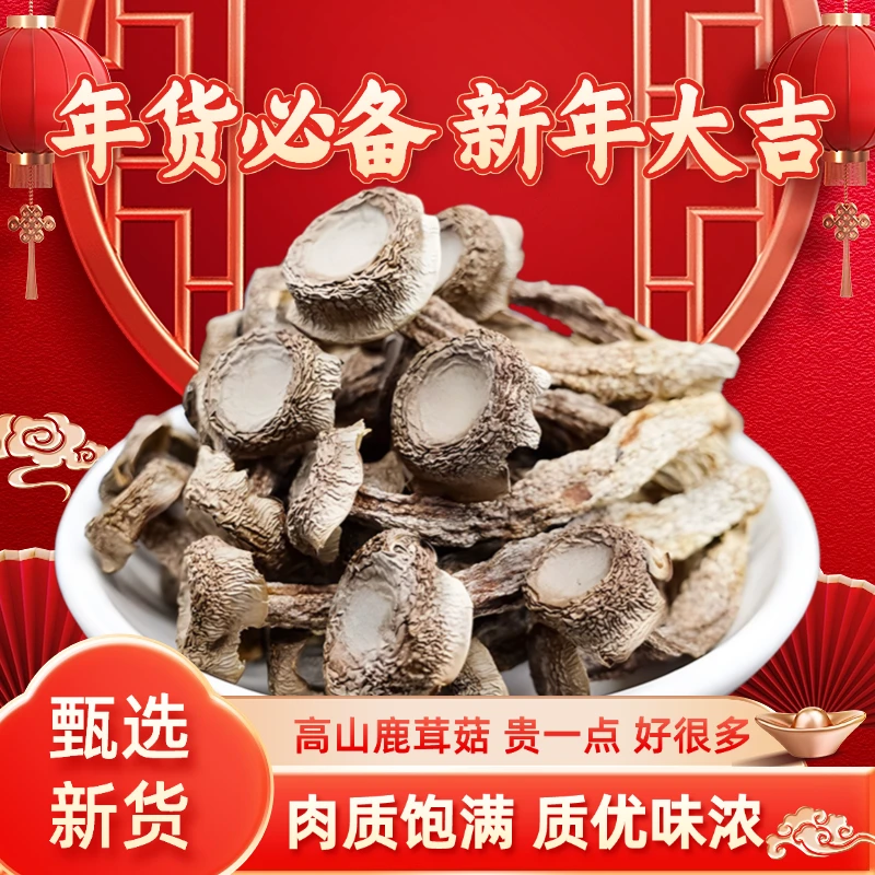 （可试吃1袋）福建特产鹿茸菇干货无硫新货菌菇煲汤炒菜食材