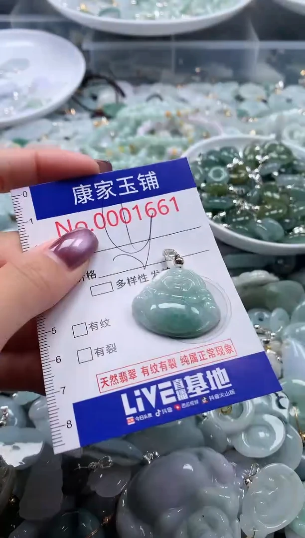 翡翠未镶嵌吊坠(不含链)1661