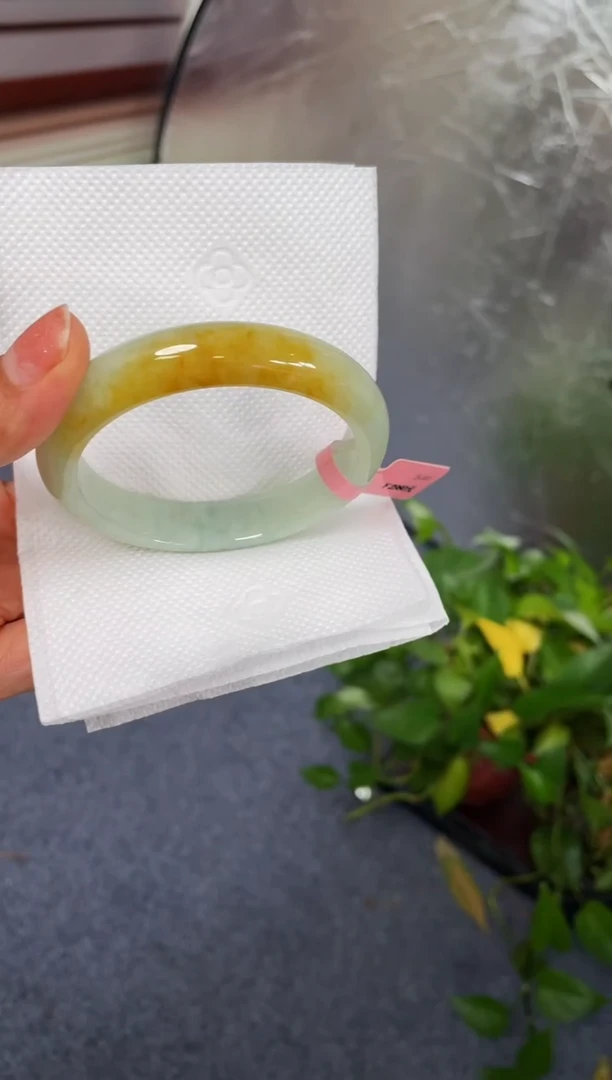 未镶嵌手镯翡翠111-57