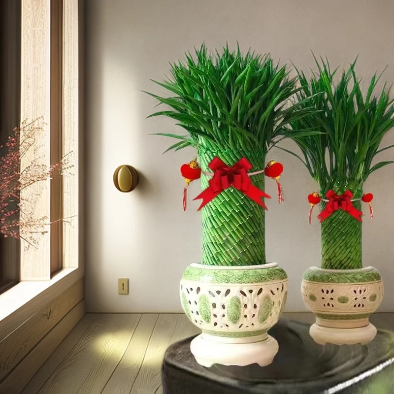 编织招财竹造型独特轻奢室内绿植桌面好养办公桌会所绿植盆栽长青