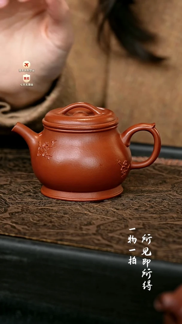 茶壶紫砂傲梅·颂金壶 一物见春