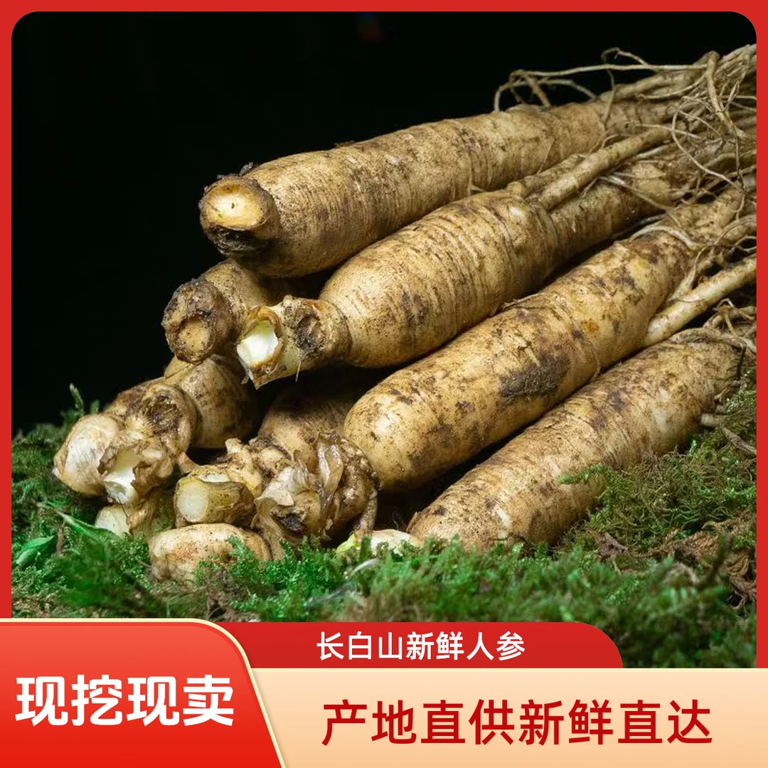 【半斤装】长白山10g现挖新鲜人参鲜参适合中老年煲汤泡酒营养滋补