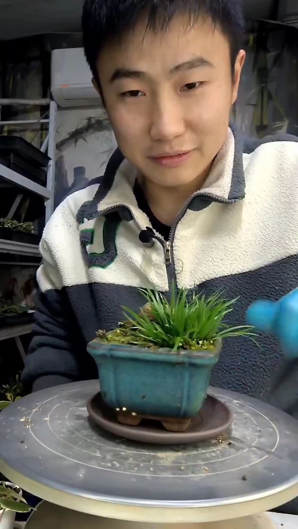 往**烟中青园艺一物一拍花136