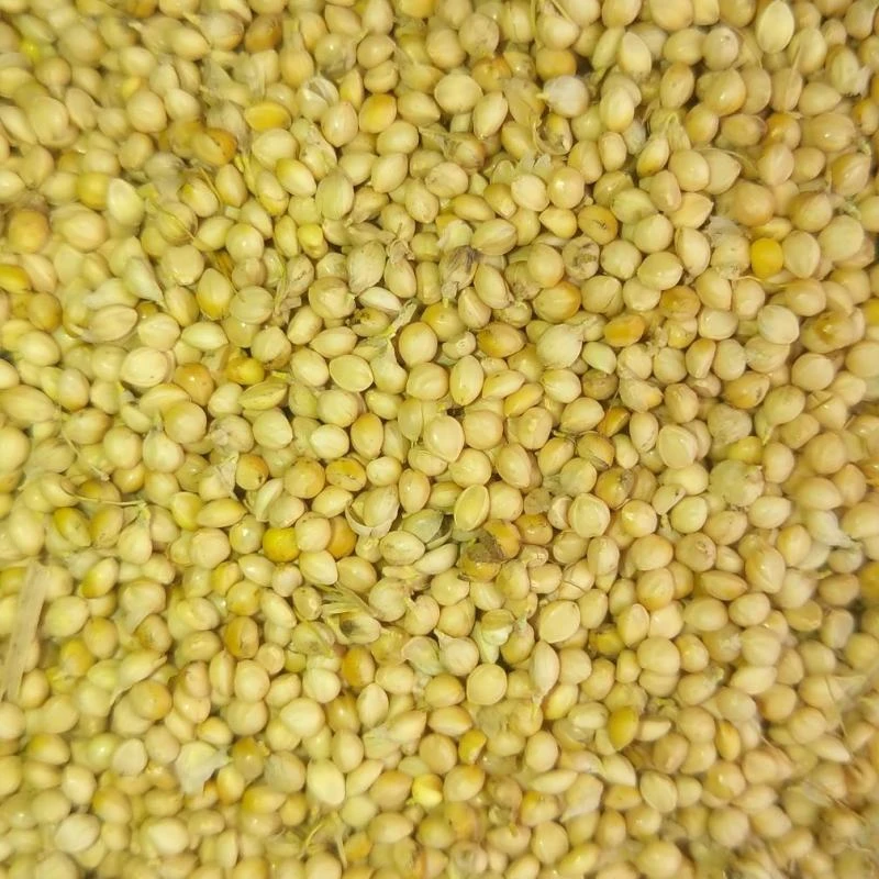 全阶段营养精品粮