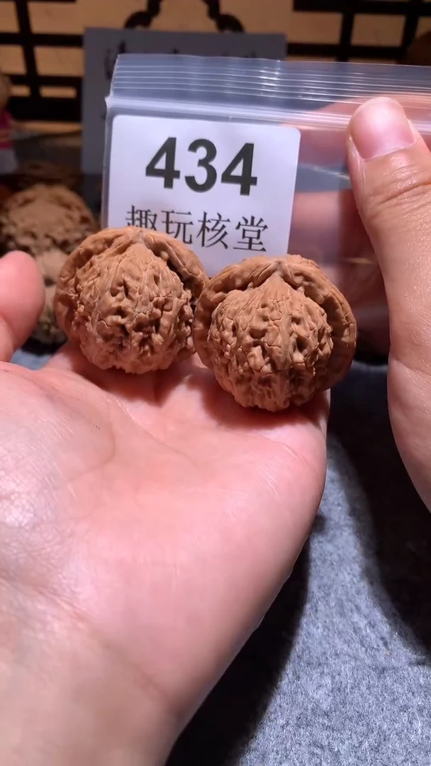 把件文玩核桃【趣玩核堂】434 号，39左右白狮子