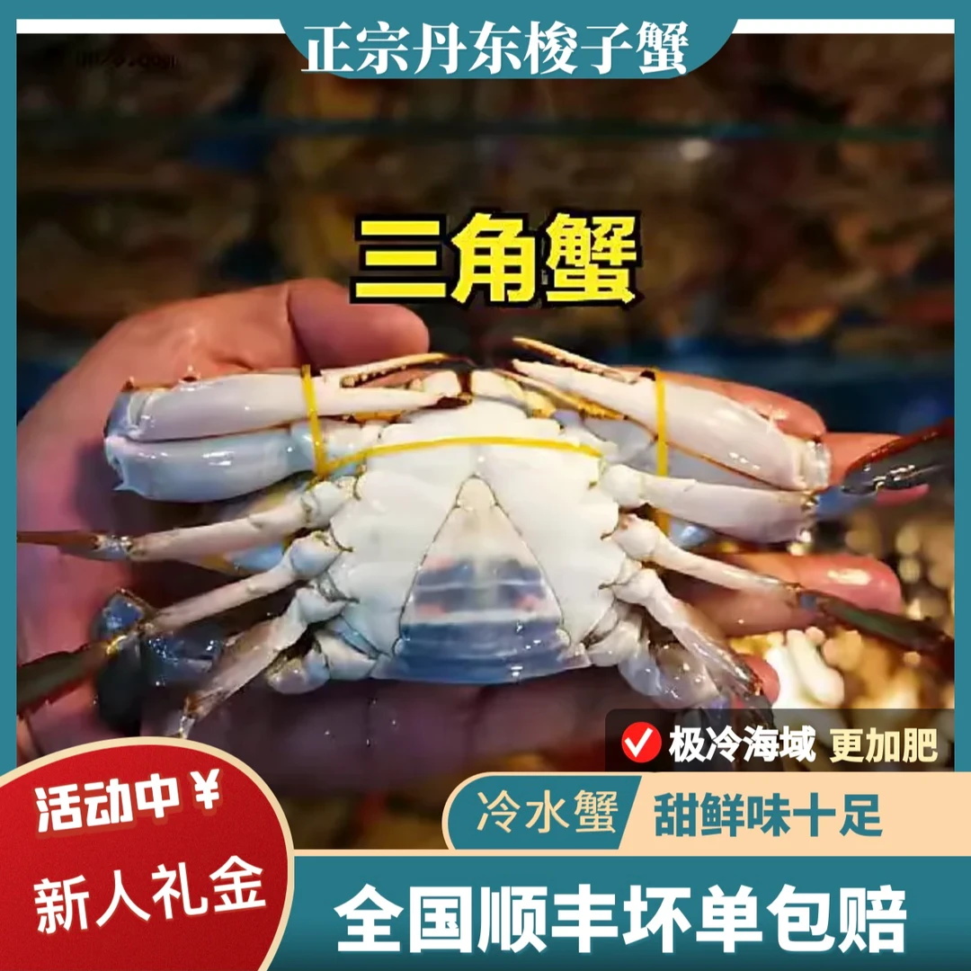 【保鲜不保活】三角姑娘蟹鲜活梭子蟹螃蟹2斤起单只1.8-4两左右膏蟹