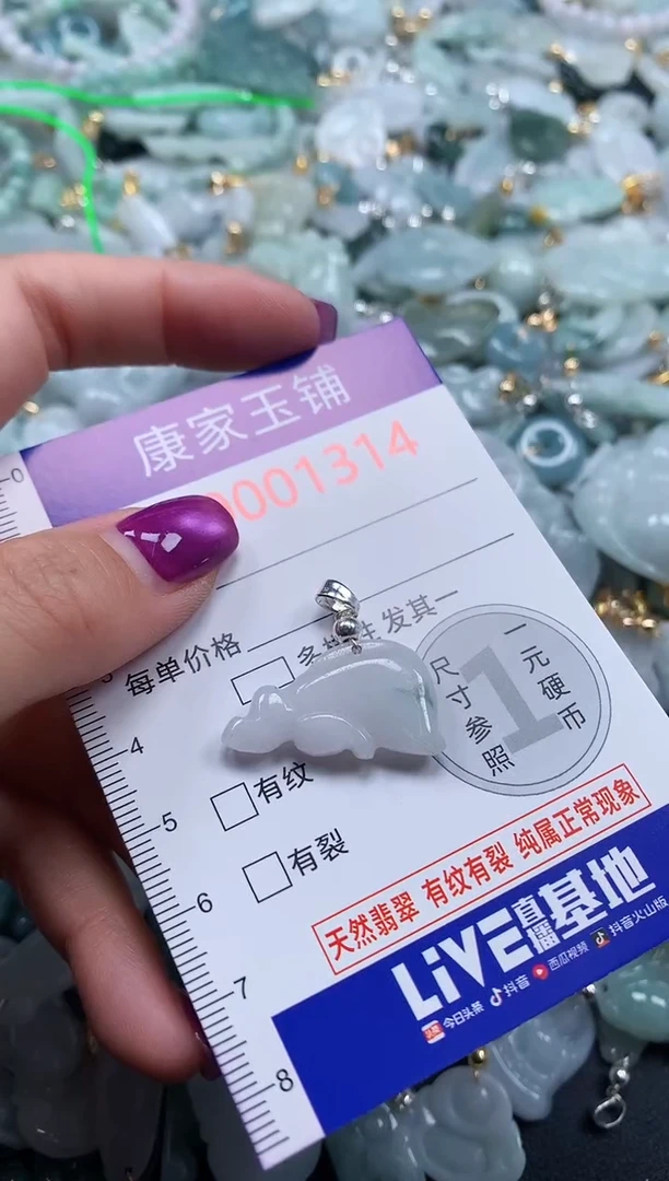 颈饰未镶嵌翡翠1314