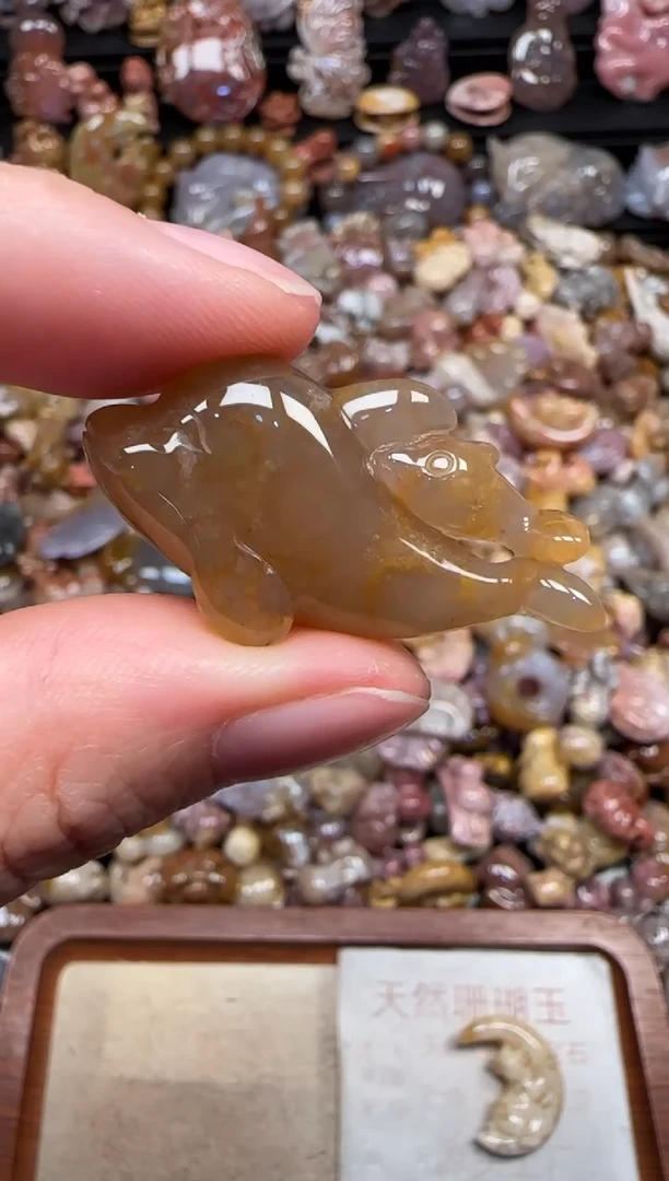 颈饰未镶嵌硅化珊瑚（珊瑚玉）210
