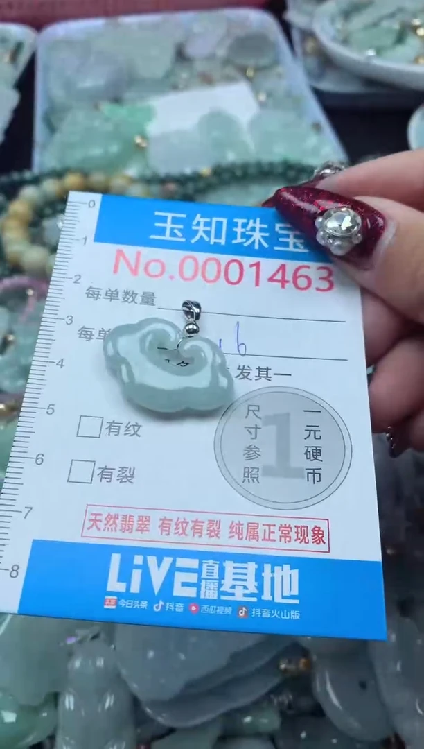 颈饰未镶嵌翡翠1463