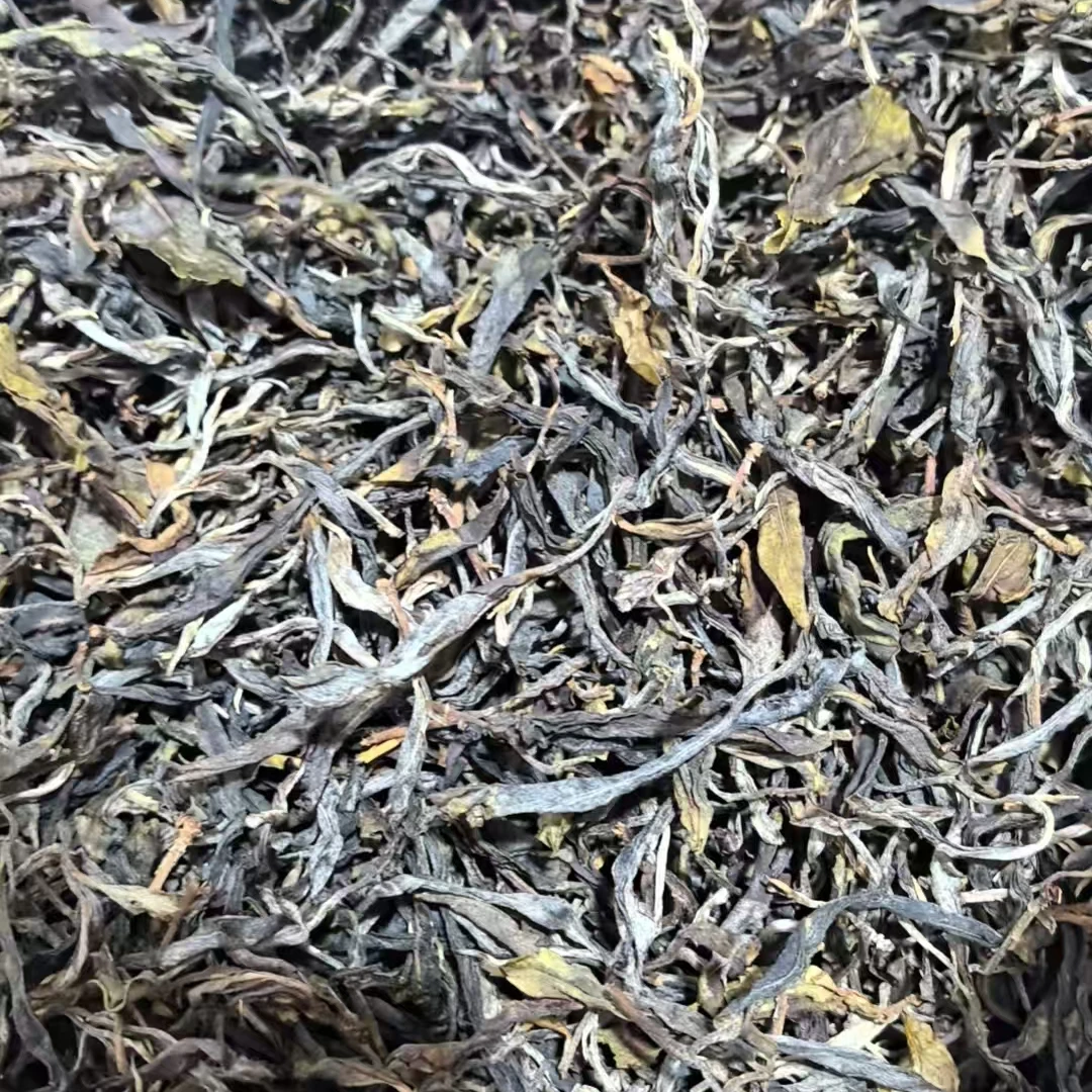 15581//2023年 薄荷塘二类 8g【生茶】【没有试喝 不退不换】