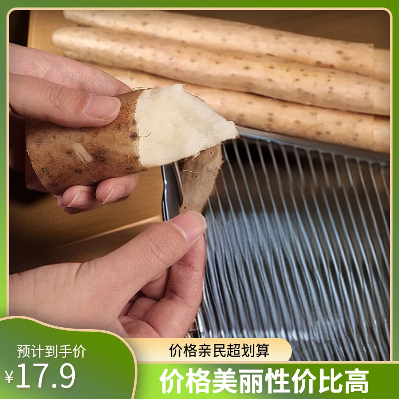 净重5斤30cm—40cm蠡县自家种植新鲜垆土地双棒麻山药现货现发