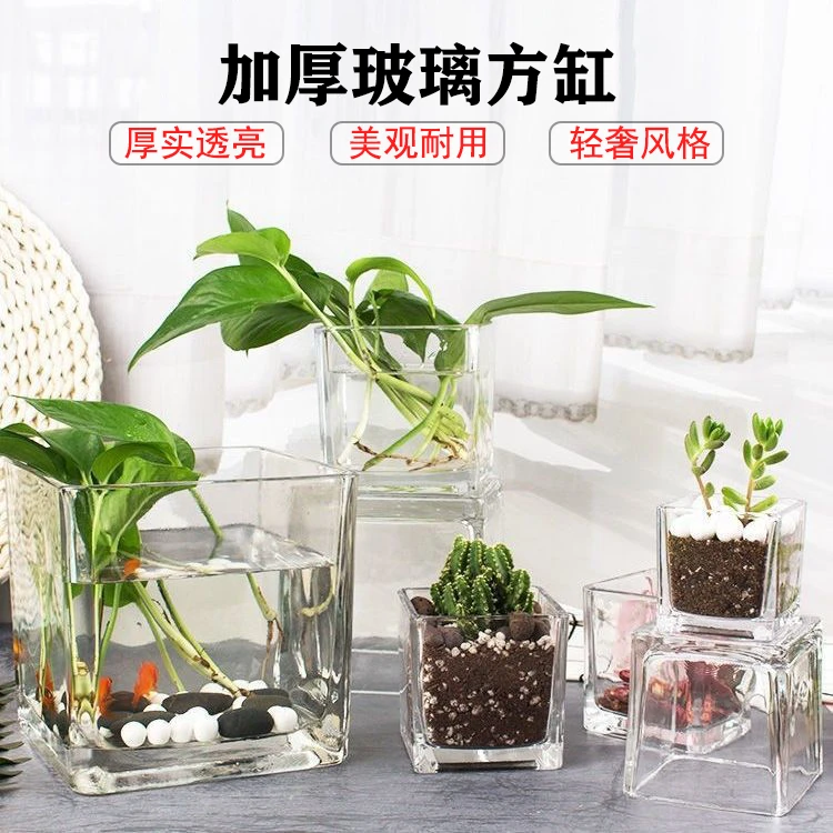 加厚玻璃方缸高透明铜钱草绿萝水竹水培花盆花瓶玻璃器皿定植插花