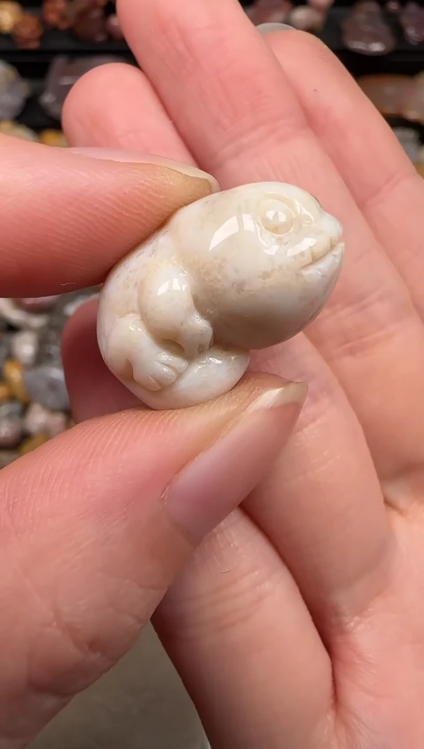 硅化珊瑚（珊瑚玉）未镶嵌颈饰288