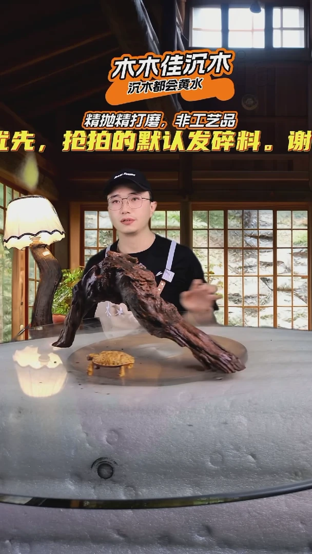 改*木木佳沉木鱼缸造景352