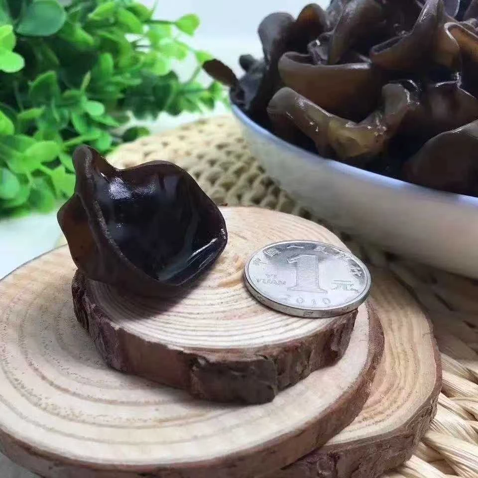 东北黑木耳小朵无根肉厚秋耳品质优良