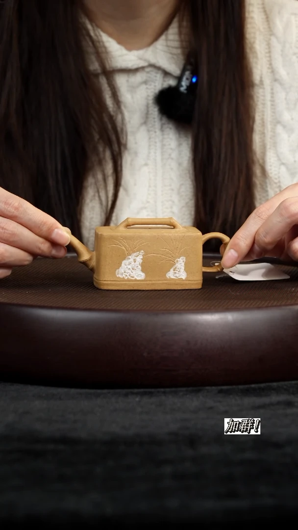 茶壶紫砂ZJ911090段泥竹节100c