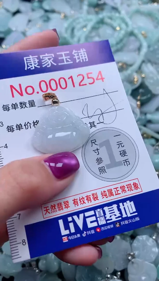 颈饰未镶嵌翡翠1254