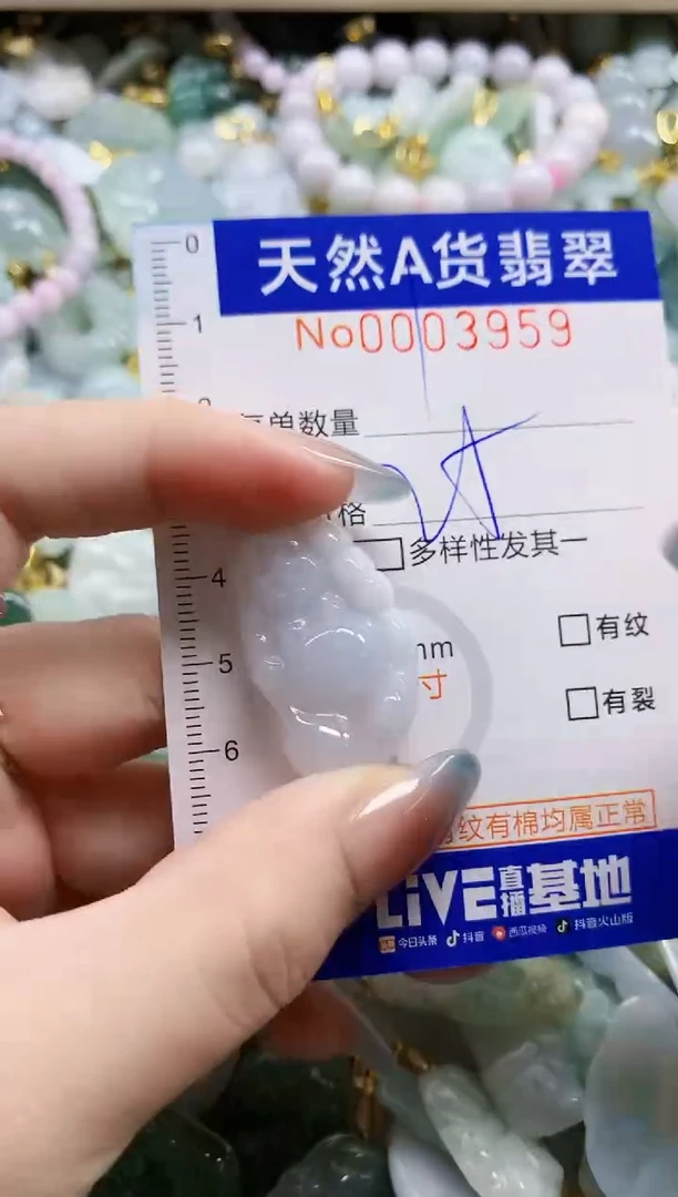 颈饰未镶嵌翡翠纯天然a货翡翠