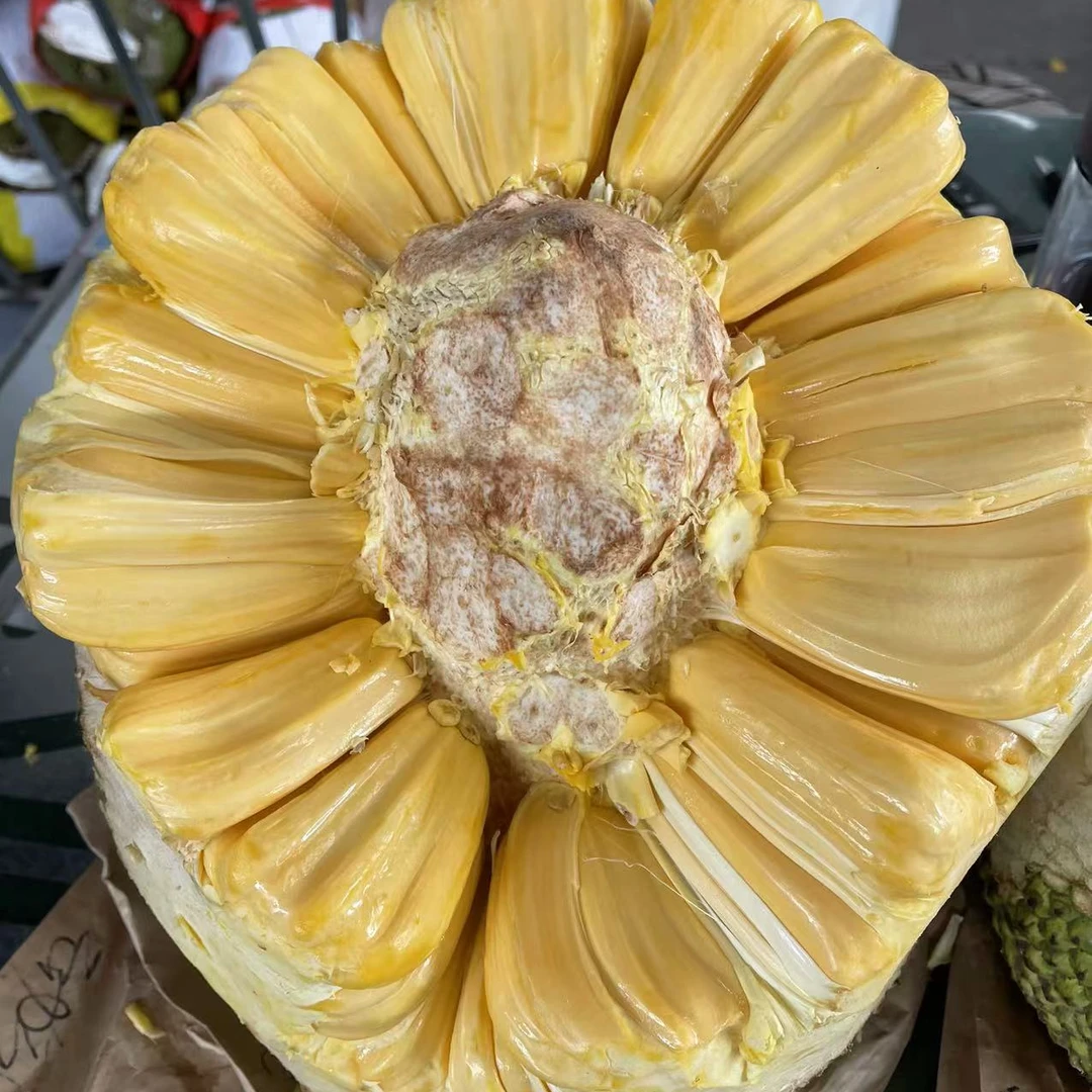 （京东包邮）财神越南菠萝蜜