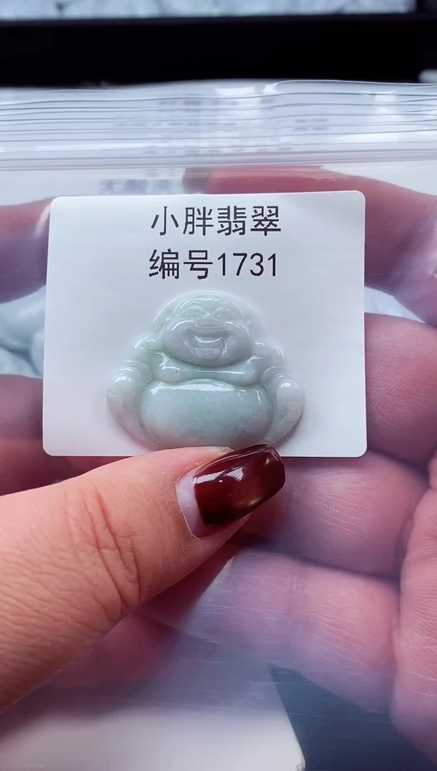 颈饰未镶嵌翡翠缅甸天然A货翡翠1731