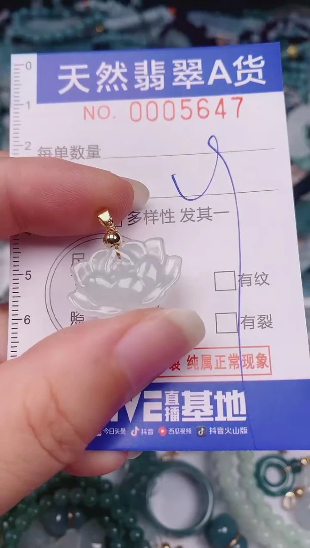 颈饰未镶嵌翡翠00005647