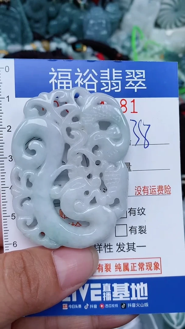 翡翠未镶嵌颈饰...0004181