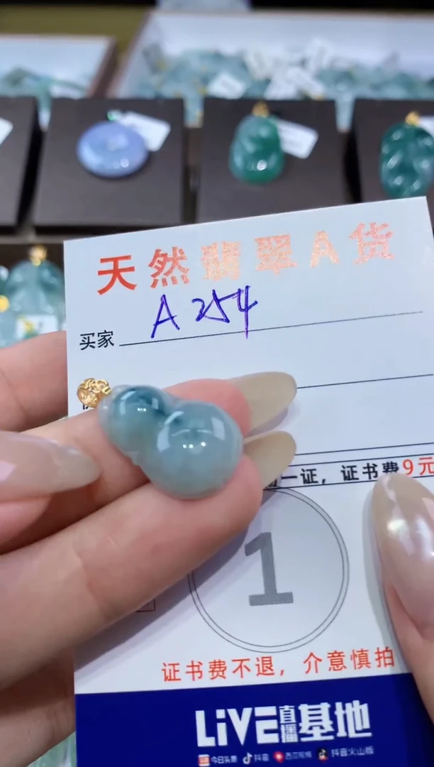 颈饰未镶嵌翡翠 天然翡翠A货挂件