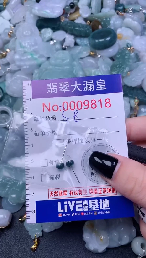 颈饰未镶嵌翡翠9818
