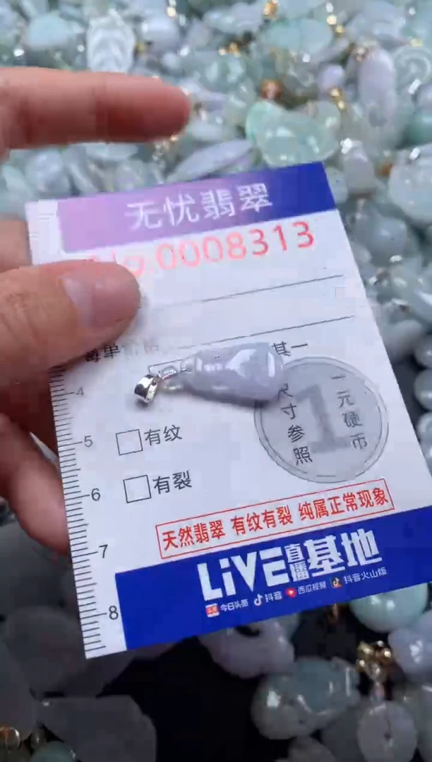 颈饰未镶嵌翡翠8313