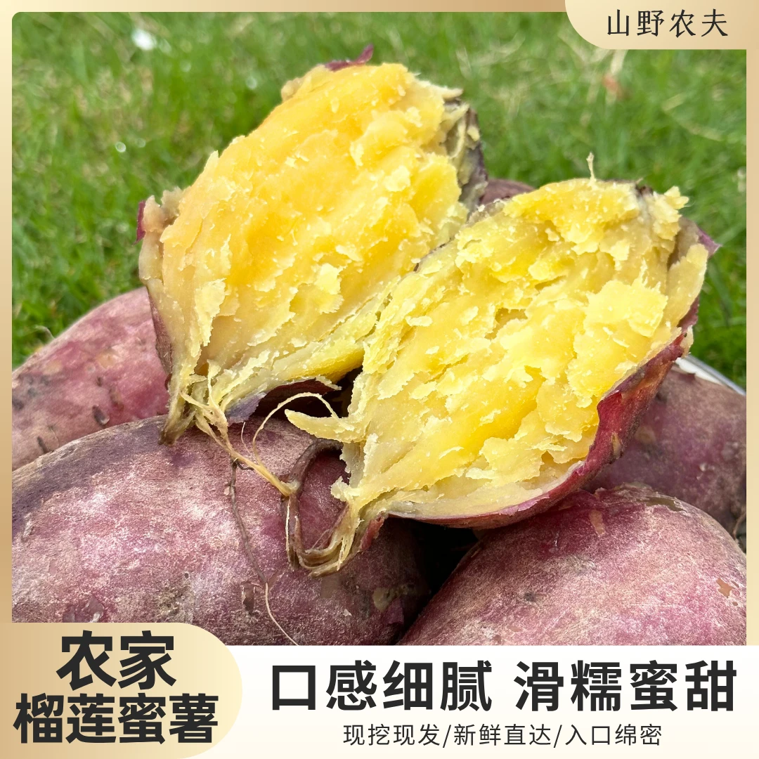 山野农夫榴莲蜜薯沙地番薯软糯香甜农家番薯新鲜现挖细腻榴莲蜜薯