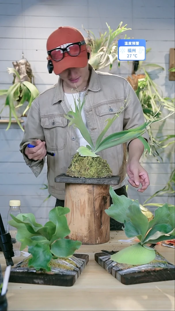 完全开放A751黄月sp