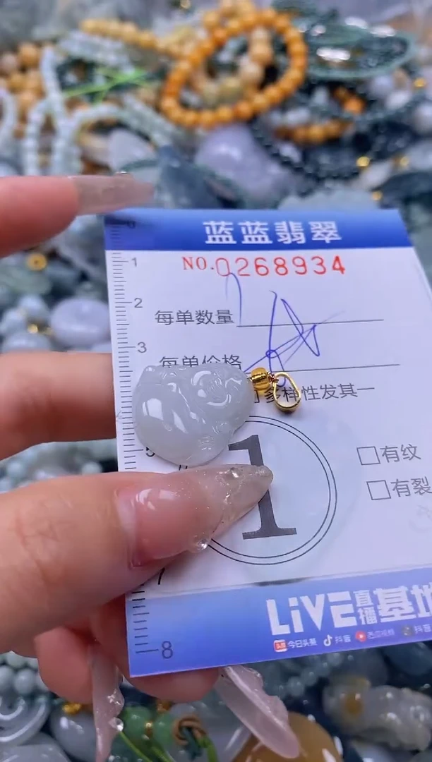 翡翠未镶嵌颈饰闪购0268934多样性发其一