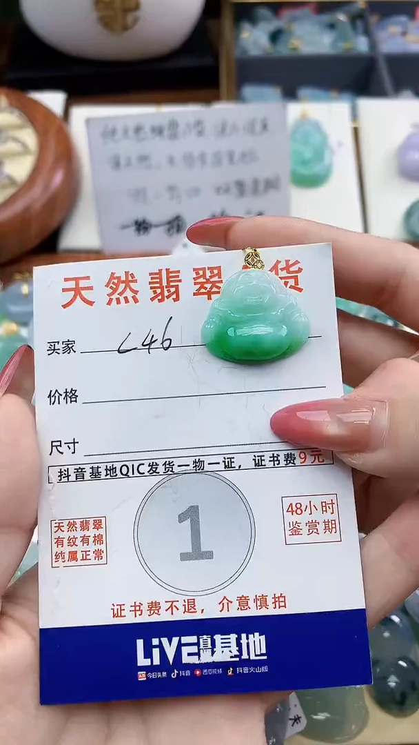 颈饰未镶嵌翡翠天然A货翡翠挂件