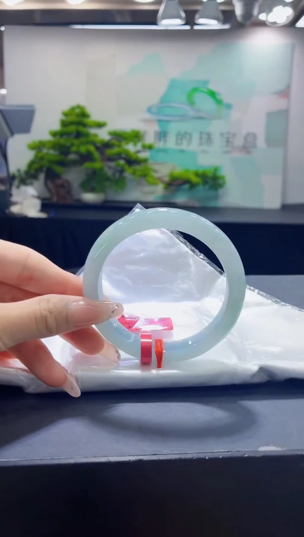 未镶嵌手镯翡翠2