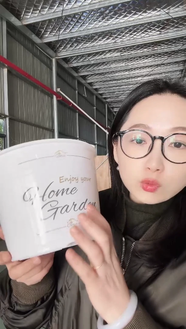 【闪购商品】塑料8寸罗斯玛丽白色印花4套装带托