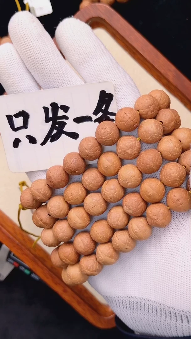 手串凤眼菩提12.5+mm尼泊尔凤眼同树原籽