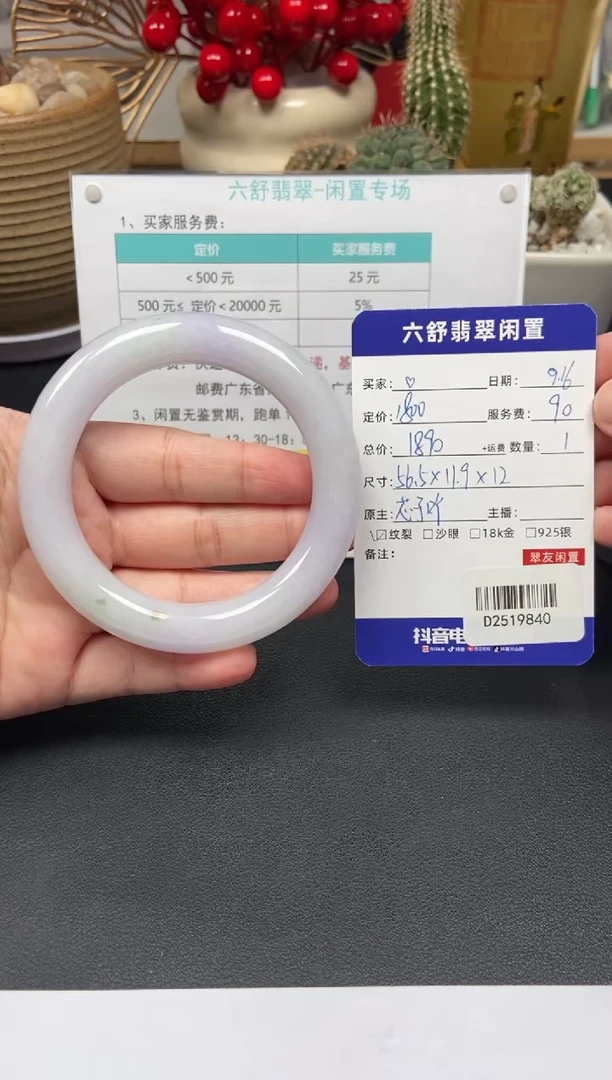 未镶嵌手镯翡翠?D2519840