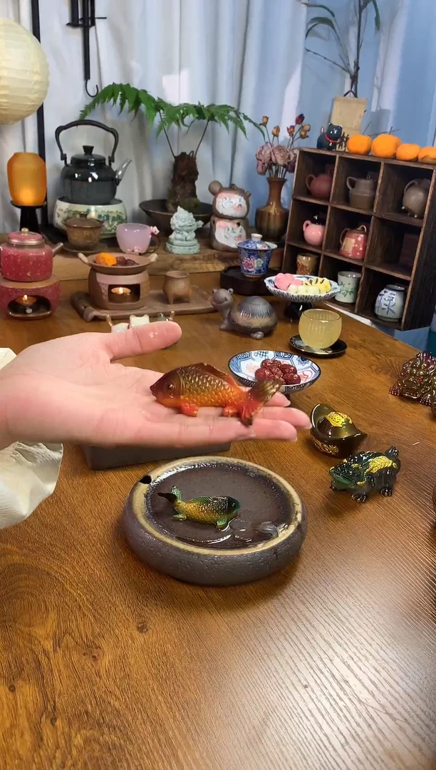 【闪购商品】变色茶宠红色鲤鱼