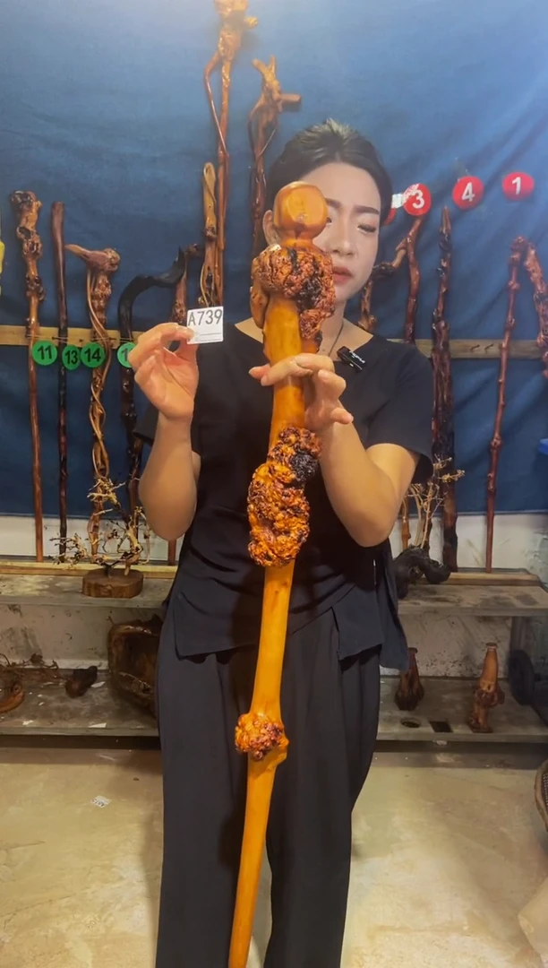 黑果木伍黑果木A739