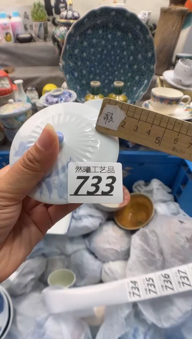 瓷片挑**猫733