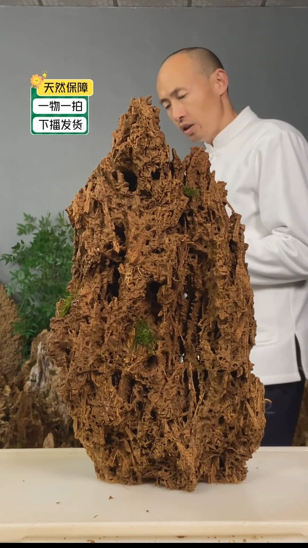 石头天****4吸水石上水石盆景999999999