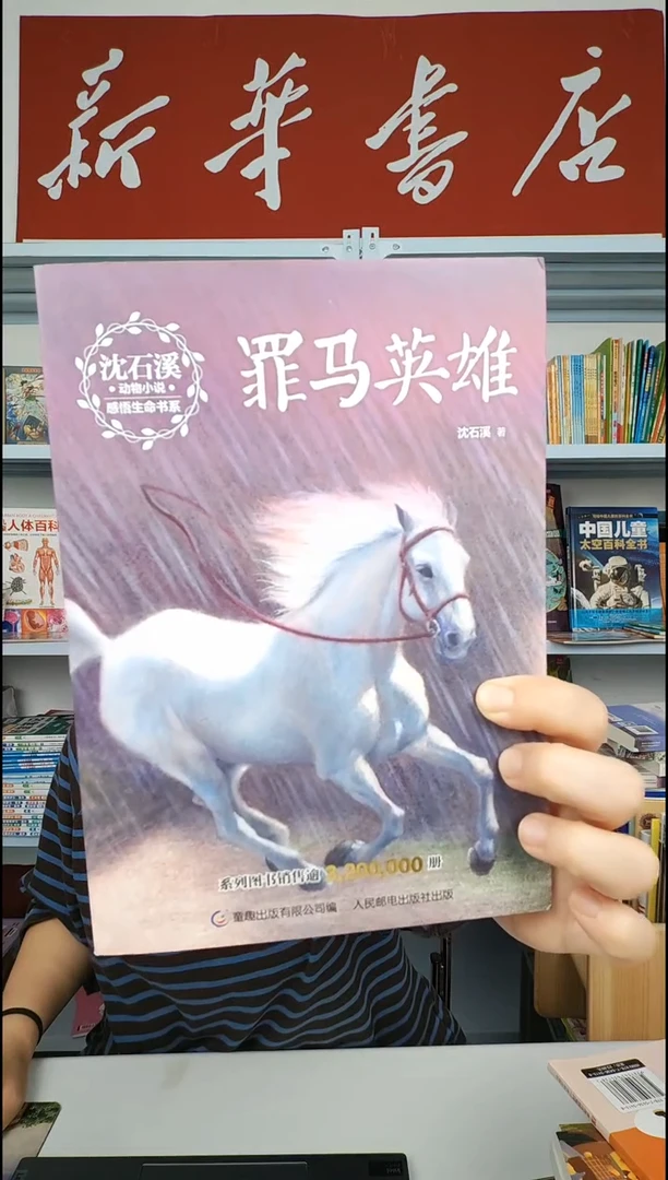 FL沈石溪NO退NO换5