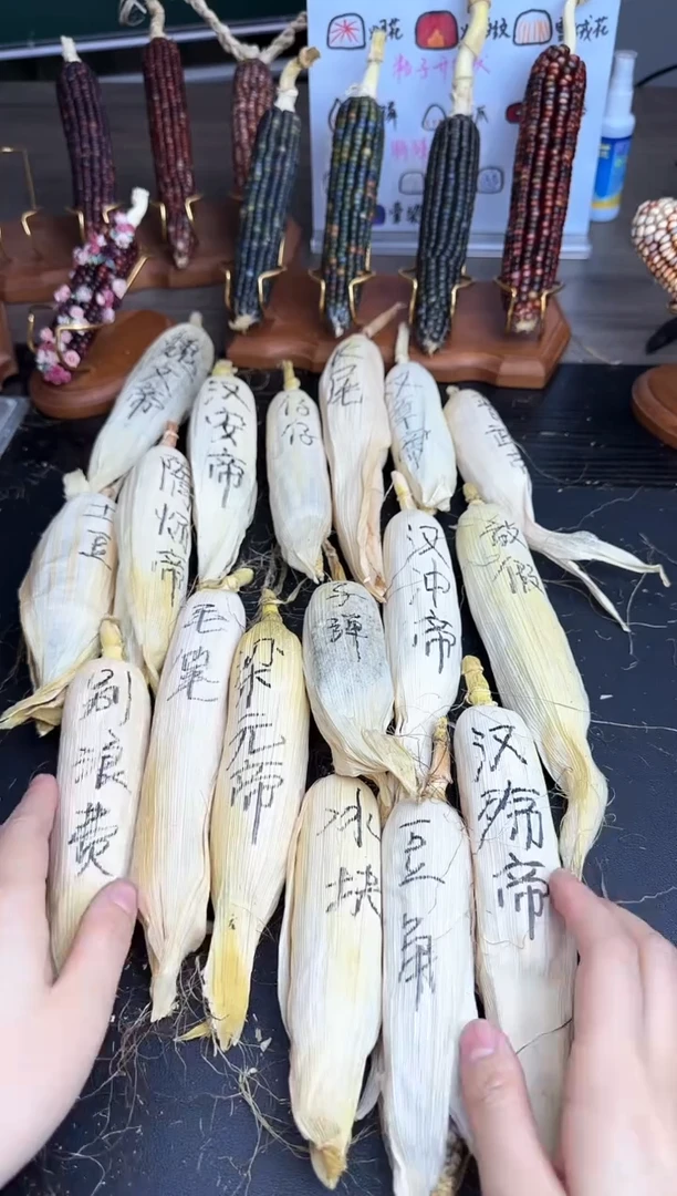 【闪购商品】哈哈哈哈哈哈哈哈哈哈